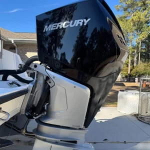 TWIN MERCURY V8 300