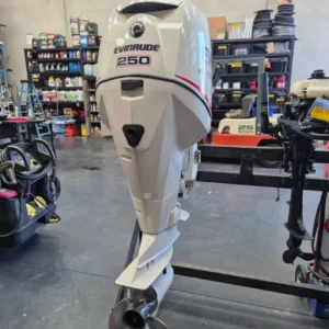 Evinrude 250hp ETEC 25in XL